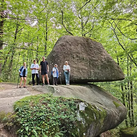 Maison De Vacances, Au Calme En Pleine Nature, Le Frene Prázdninový dům Lacrouzette